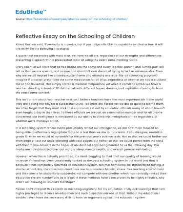 Reflective Essay on the Schooling of Children
