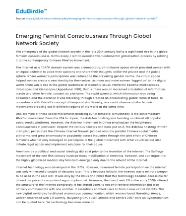 Emerging Feminist Consciousness Through Global Network Society