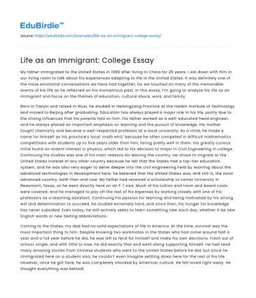 Life as an Immigrant: College Essay