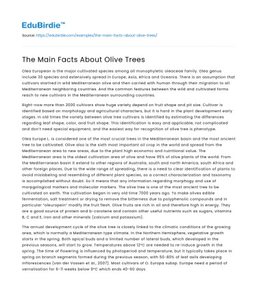 The Main Facts About Olive Trees