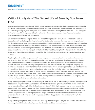 Critical Analysis of The Secret Life of Bees by Sue Monk Kidd