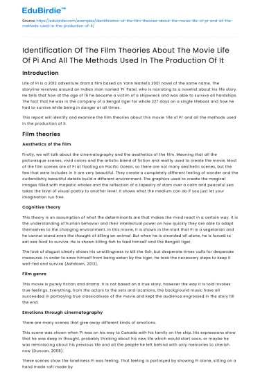 Film theories and production methods in Life of Pi