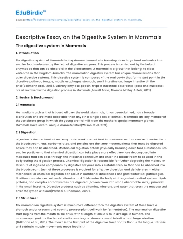 Descriptive Essay on the Digestive System in Mammals
