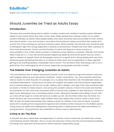 Should Juveniles be Tried as Adults Essay