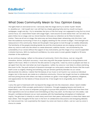 What Does Community Mean to You: Opinion Essay