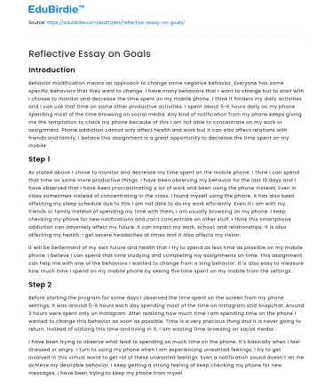 Reflective Essay on Goals