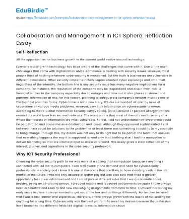 Collaboration and Management In ICT Sphere: Reflection Essay