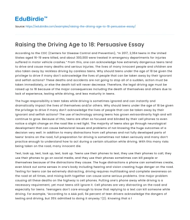 Raising the Driving Age to 18: Persuasive Essay