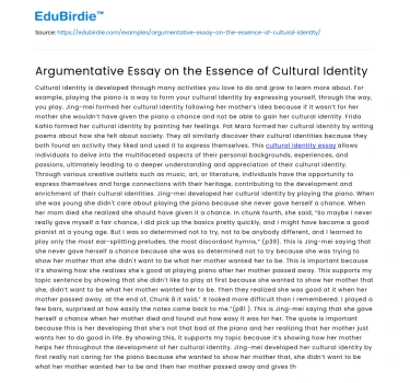Argumentative Essay on the Essence of Cultural Identity