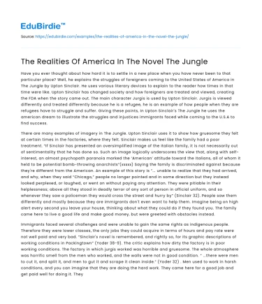 The Realities Of America In The Novel The Jungle