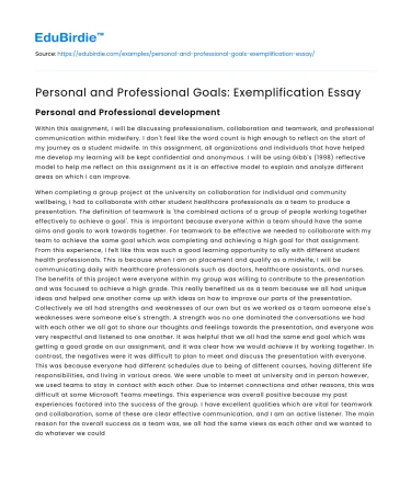 Personal and Professional Goals: Exemplification Essay