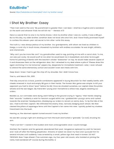 I Shot My Brother: Essay