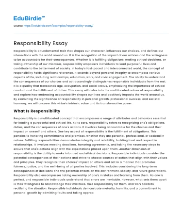 Responsibility Essay