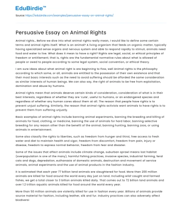 Persuasive Essay on Animal Rights
