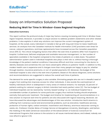 Essay on Informatics Solution Proposal