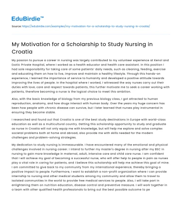 My Motivation for a Scholarship to Study Nursing in Croatia