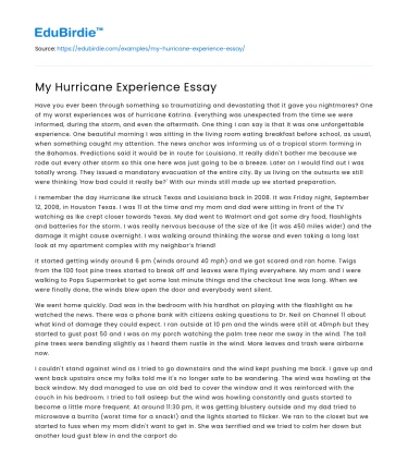 My Hurricane Experience Essay