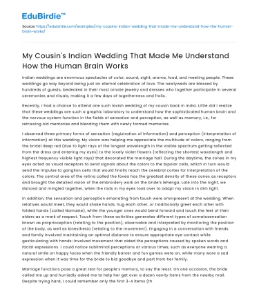 My Cousin’s Indian Wedding: A Lesson on How the Human Brain Works
