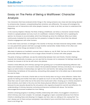 Essay on The Perks of Being a Wallflower: Character Analysis
