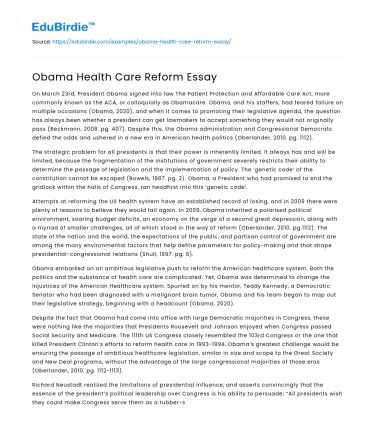 Obama Health Care Reform Essay