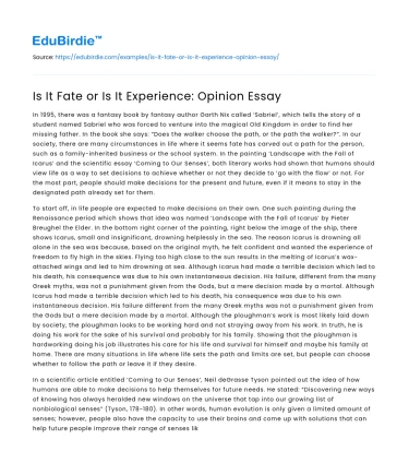 Is It Fate or Is It Experience: Opinion Essay