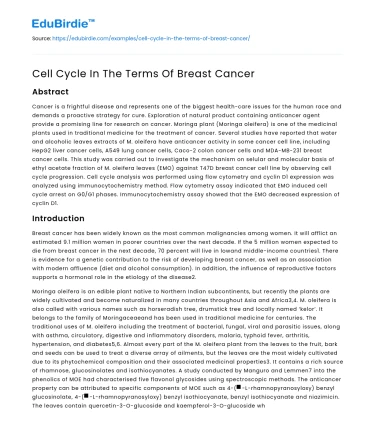Cell Cycle In The Terms Of Breast Cancer