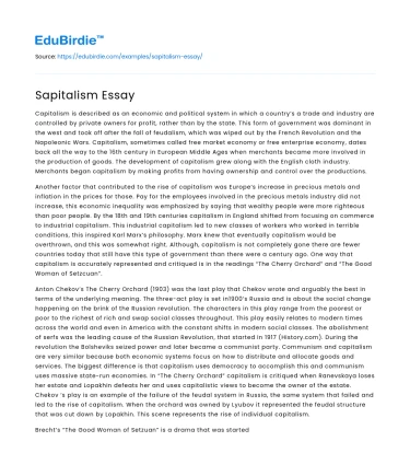 Sapitalism Essay