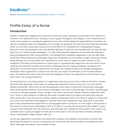 Profile Essay of a Nurse
