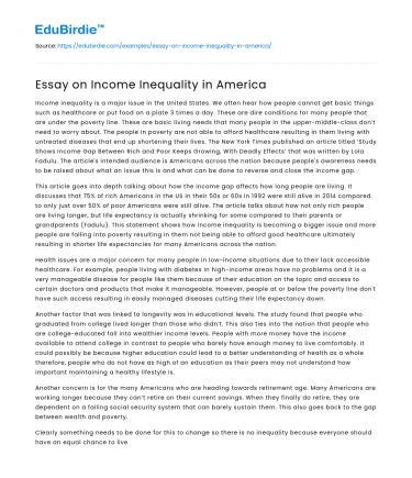 Essay on Income Inequality in America