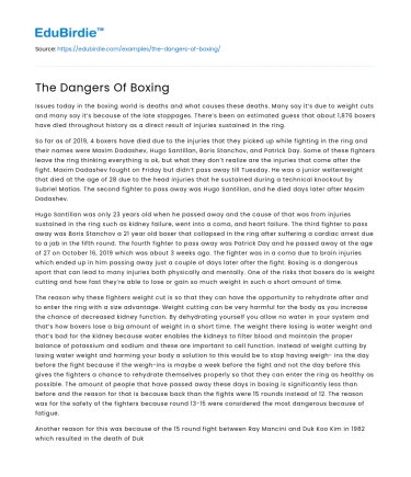 The Dangers Of Boxing