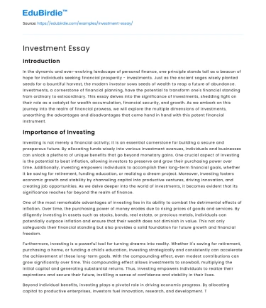 Investment Essay