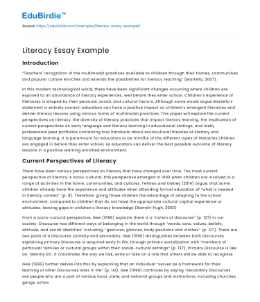 Literacy Essay Example