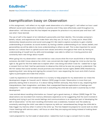 Exemplification Essay on Observation