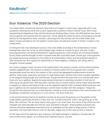 Gun Violence: The 2020 Election