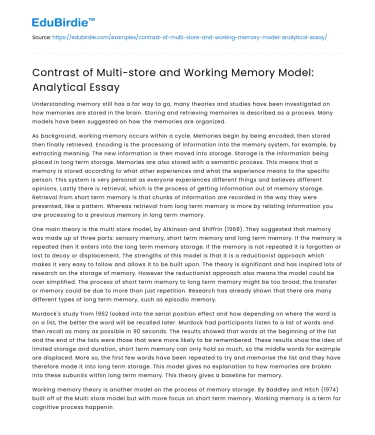 Contrast of Multi-store and Working Memory Model: Analytical Essay