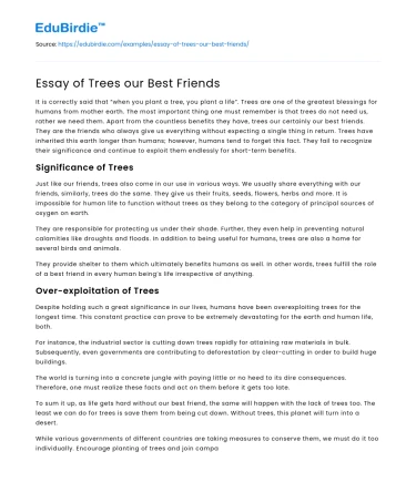 Essay of Trees our Best Friends