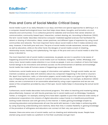 Pros and Cons of Social Media: Critical Essay