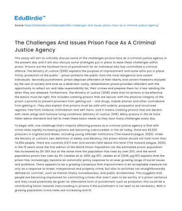 The Challenges And Issues Prison Face As A Criminal Justice Agency