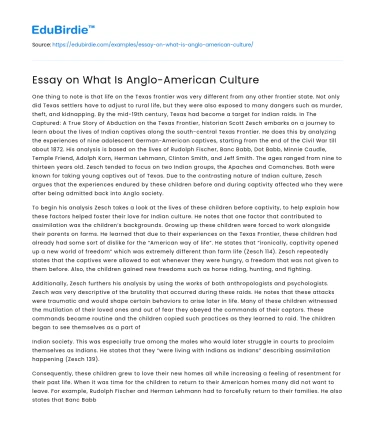Essay on What Is Anglo-American Culture