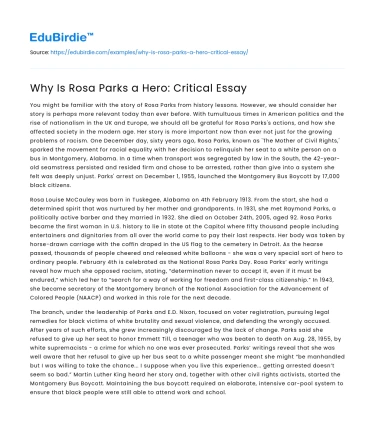 Why Is Rosa Parks a Hero: Critical Essay