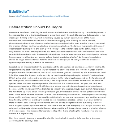 Deforestation Should be Illegal