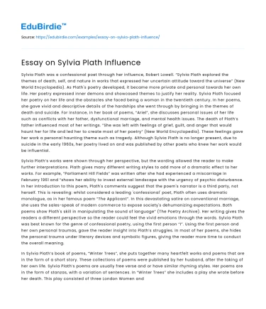 Essay on Sylvia Plath Influence