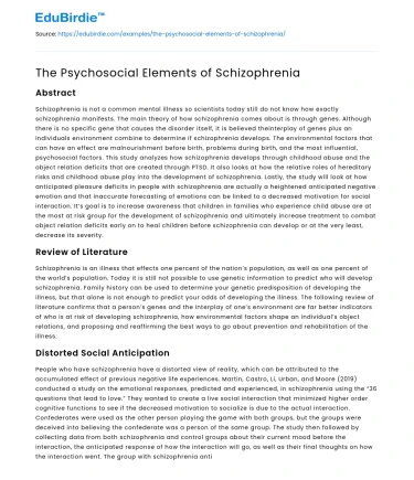 The Psychosocial Elements of Schizophrenia