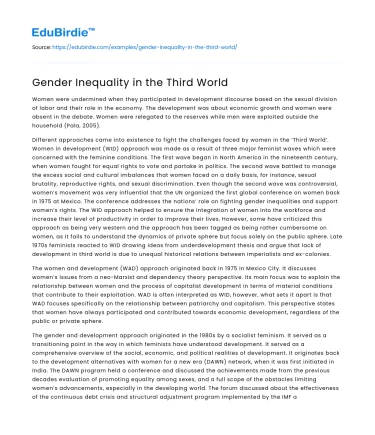 Gender Inequality in the Third World