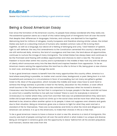 Being a Good American Essay