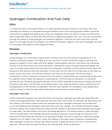 Hydrogen Combustion And Fuel Cells