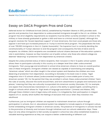 Essay on DACA Program Pros and Cons