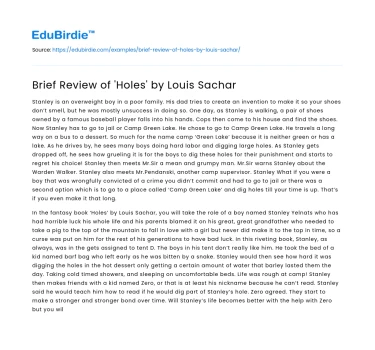 The Multifaceted Layers of ‘Holes’ by Louis Sachar