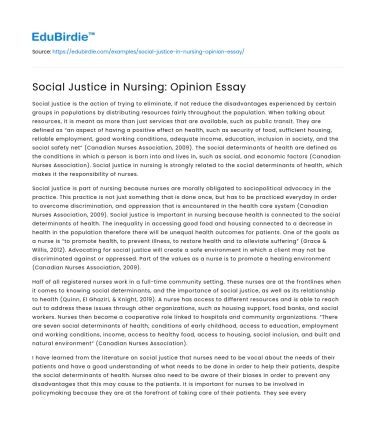 Social Justice in Nursing: Opinion Essay