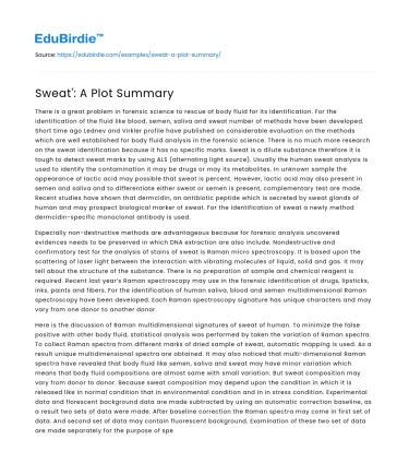 Sweat’: A Plot Summary